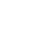 Data Visualization Icon